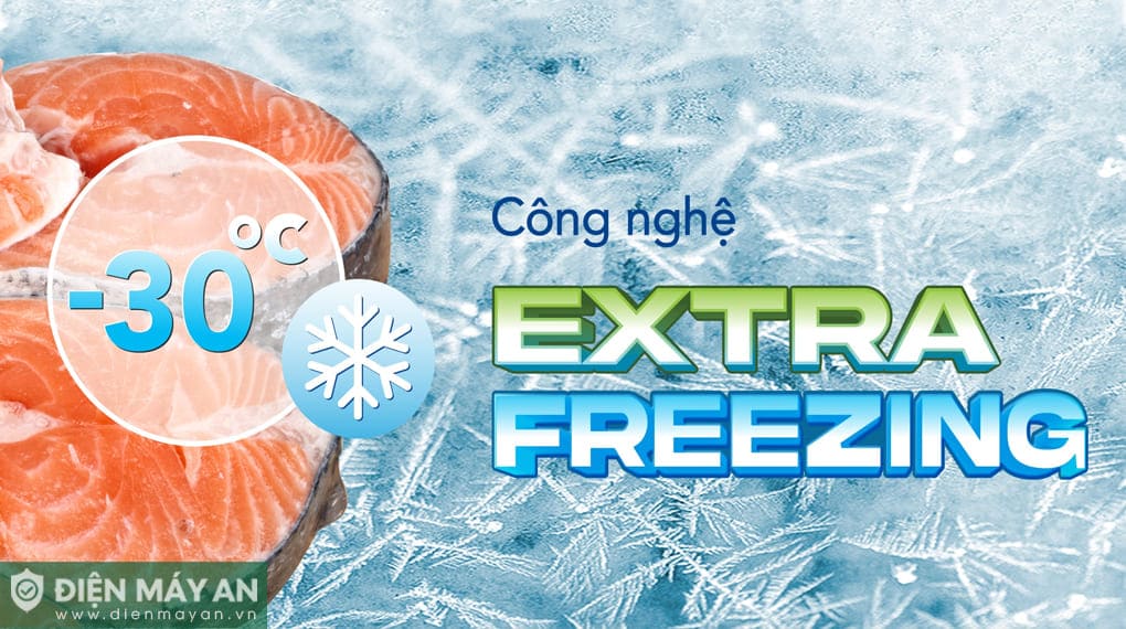 Tủ đông Hòa Phát Inverter 245 Lít HPF BD8245